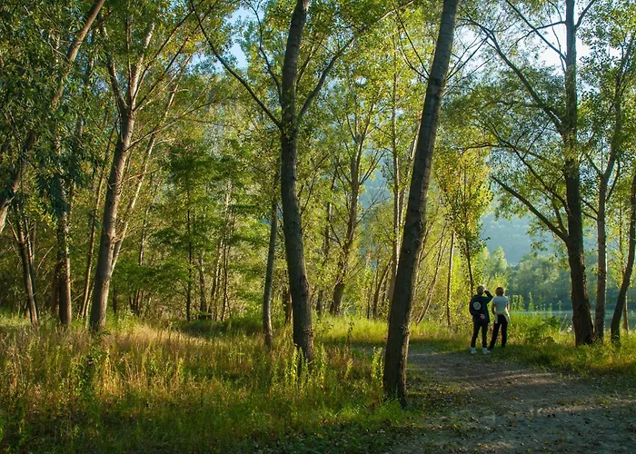 Apartament La Colombaia Saint Marcel